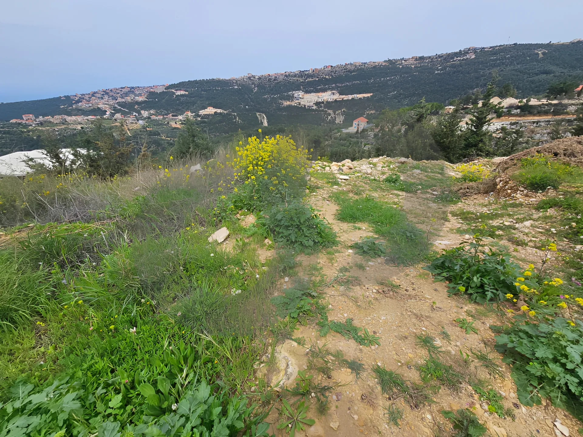 Land for Sale in Zgharta