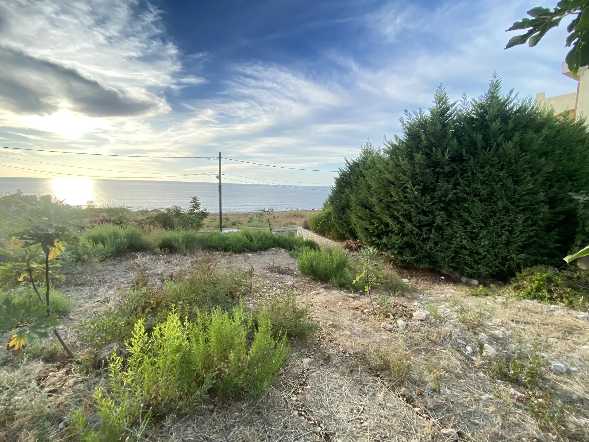 Land for Sale in Barbir