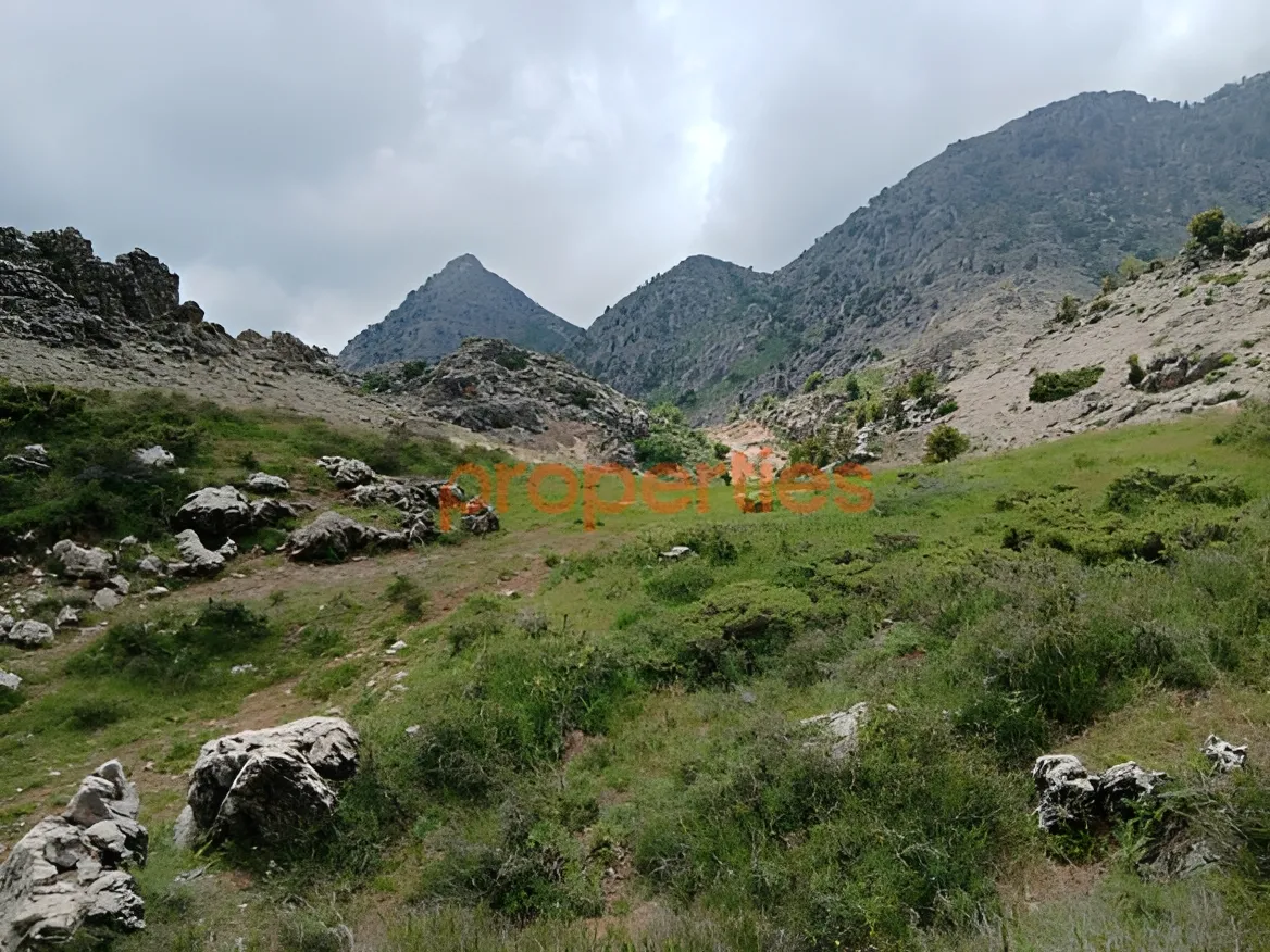 Residential Land for Sale in Ehmej