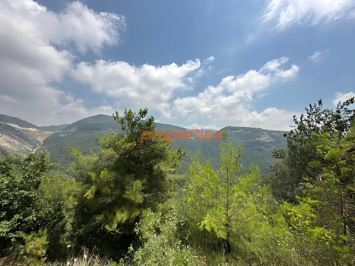Apartment for Sale in Rabieh