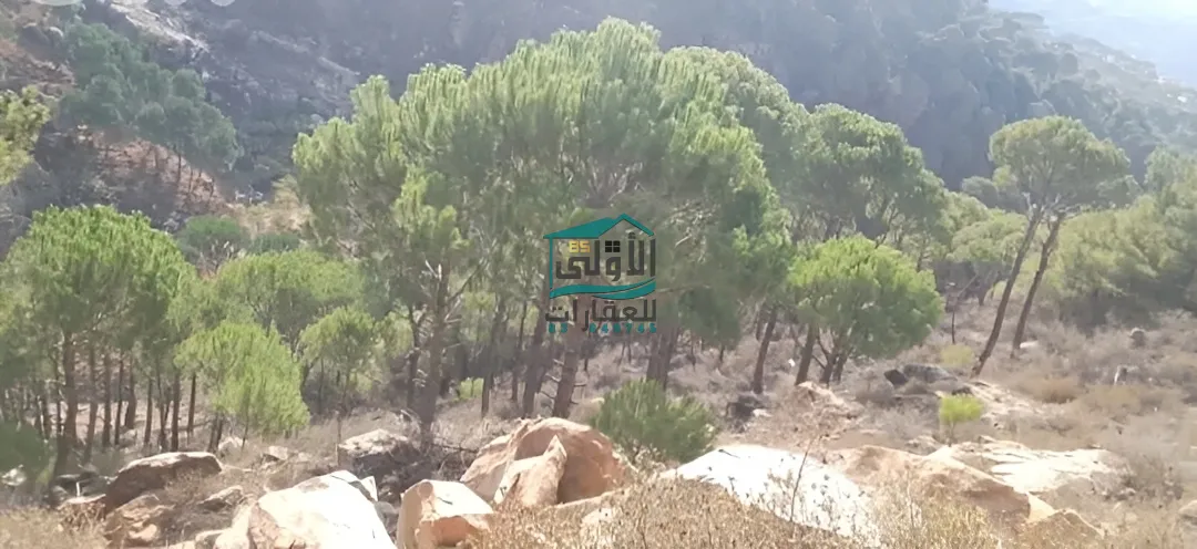 Land in الكفير، حاصبيّا، lebanon