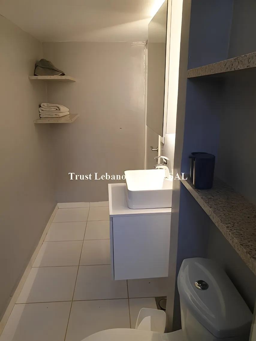 Apartment for Rent in Ashrafieh Beirut Lebanon