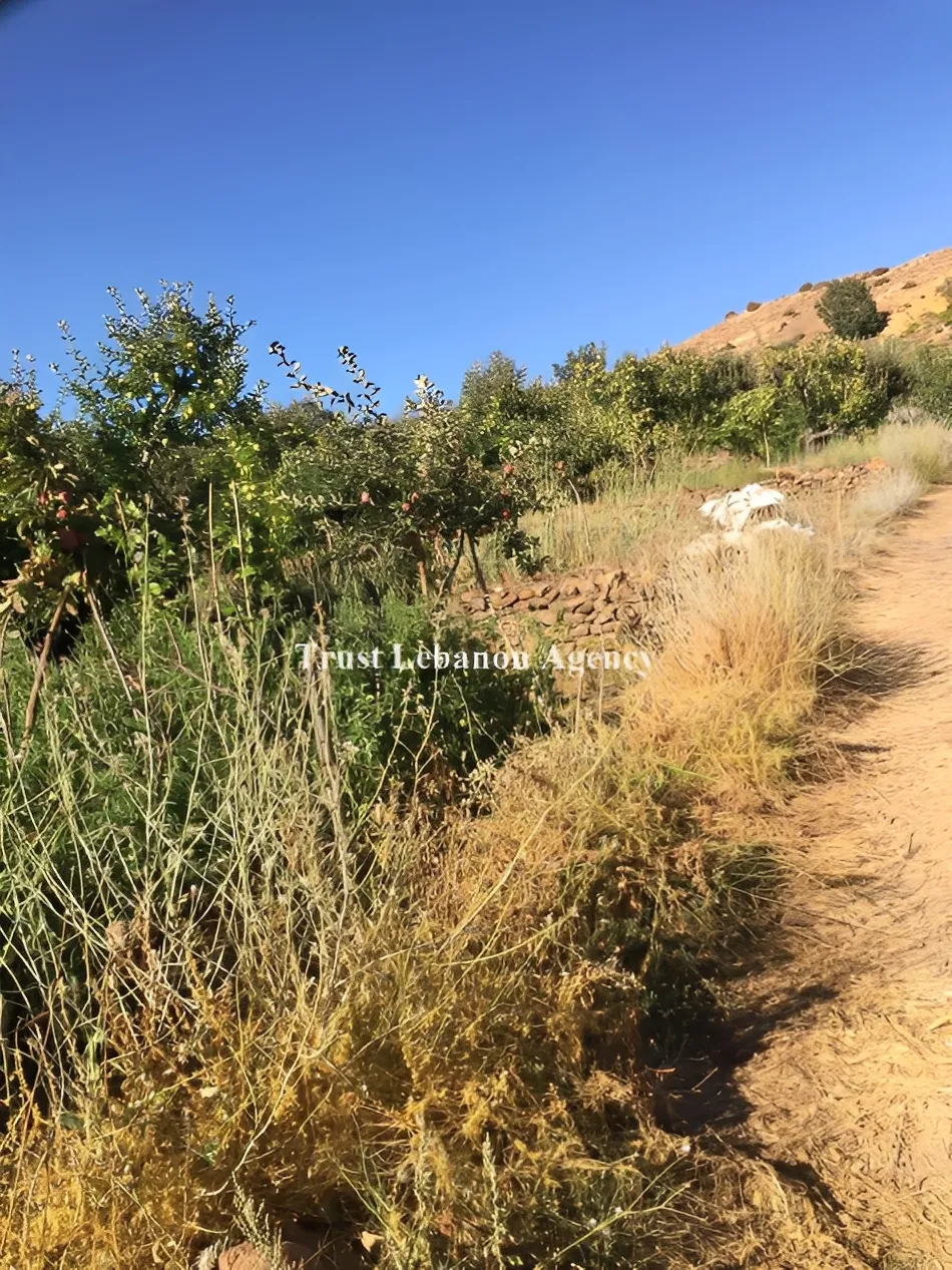 Land for Sale in Metn Zaarour Lebanon