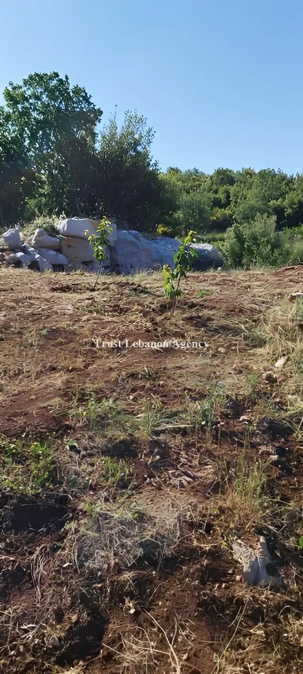 Land for Sale in Nabatiye Lebanon