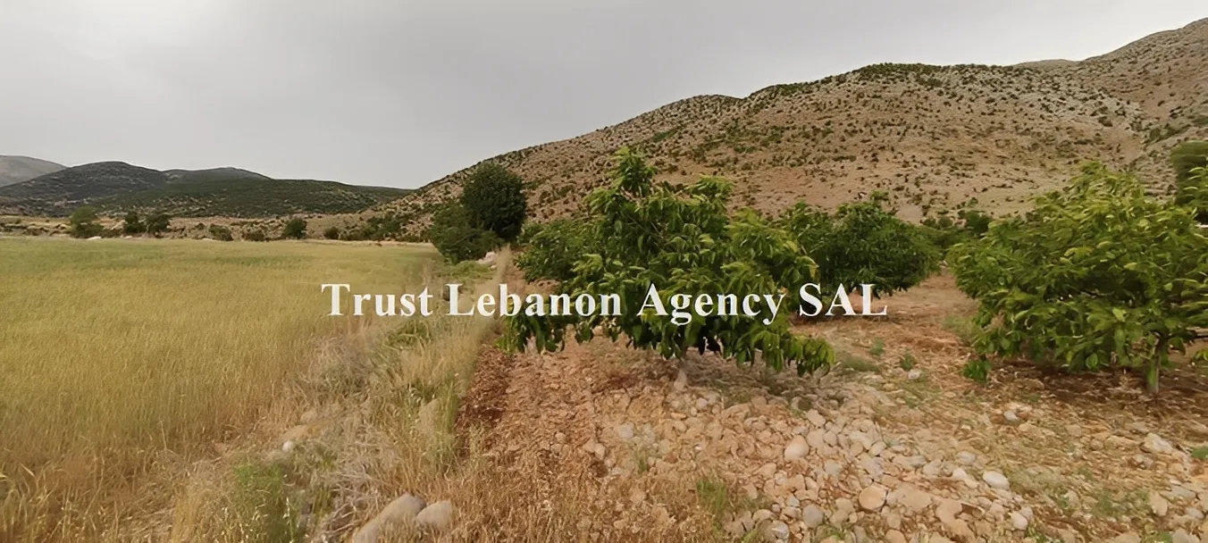 Land for Sale in Rashaya