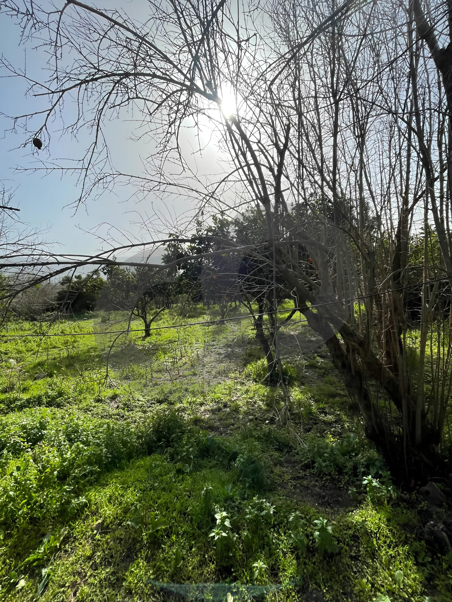 Land for Sale in Zgharta