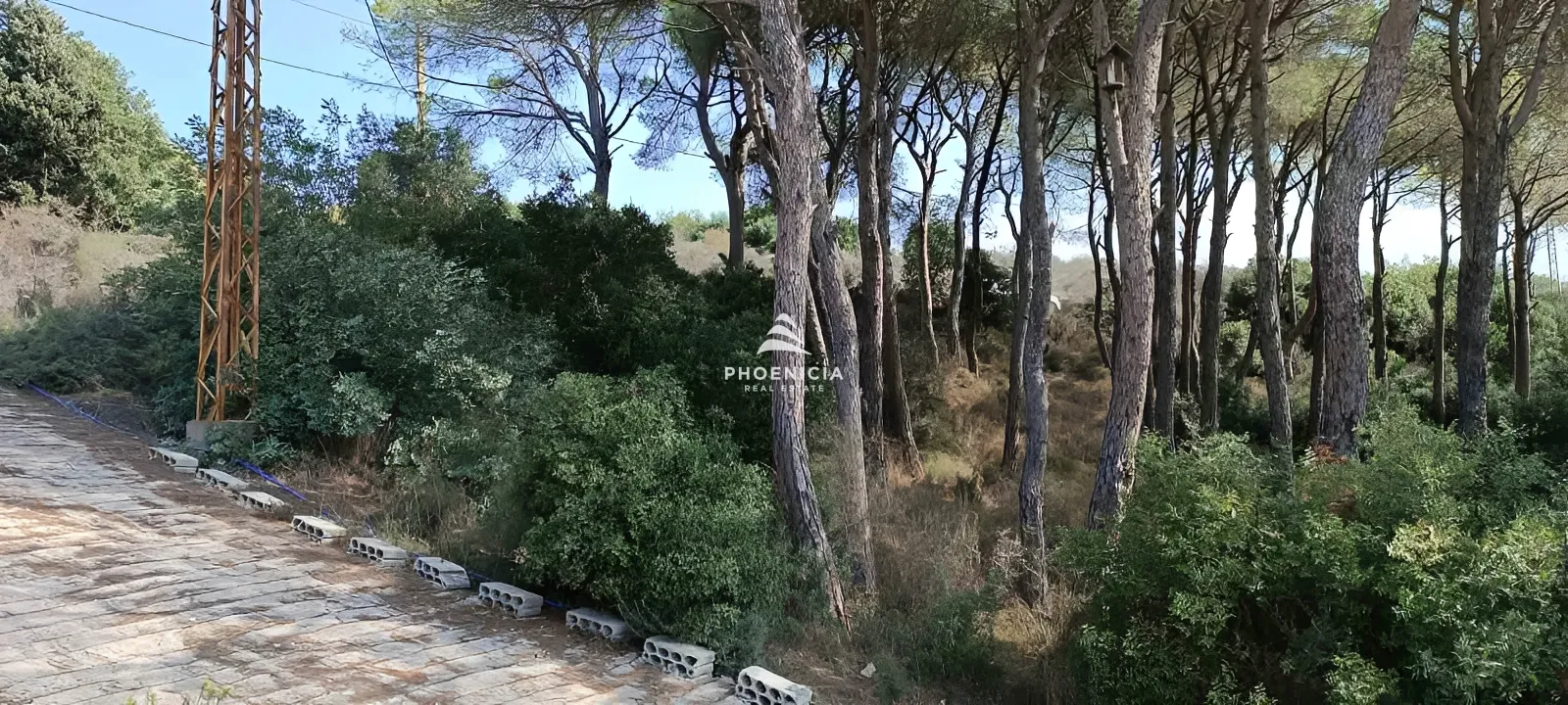 Land for Sale in Gharzouz