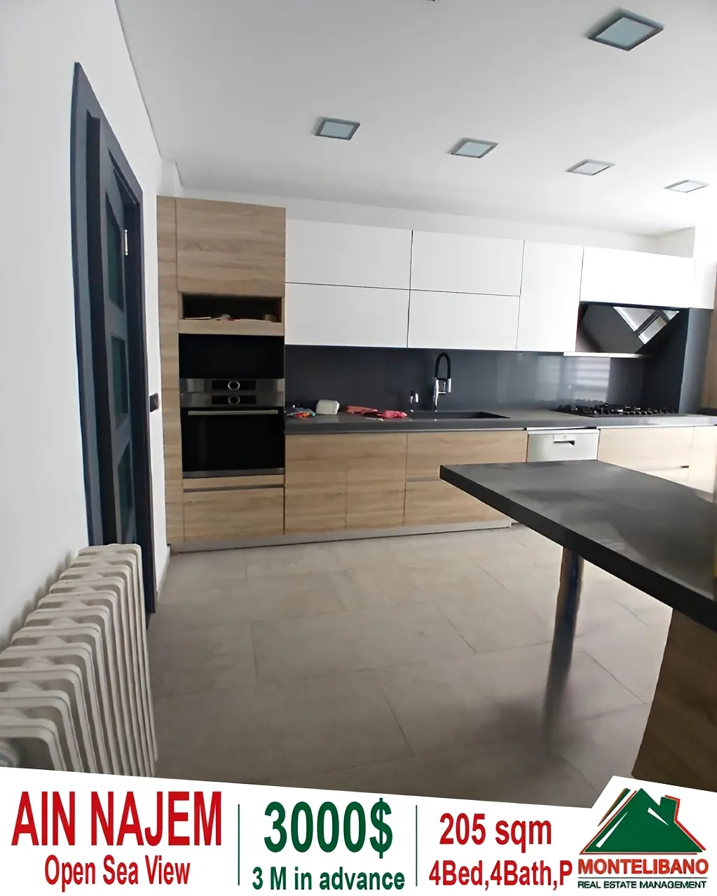 Apartment for rent in Ain Saadeh, Lebanon