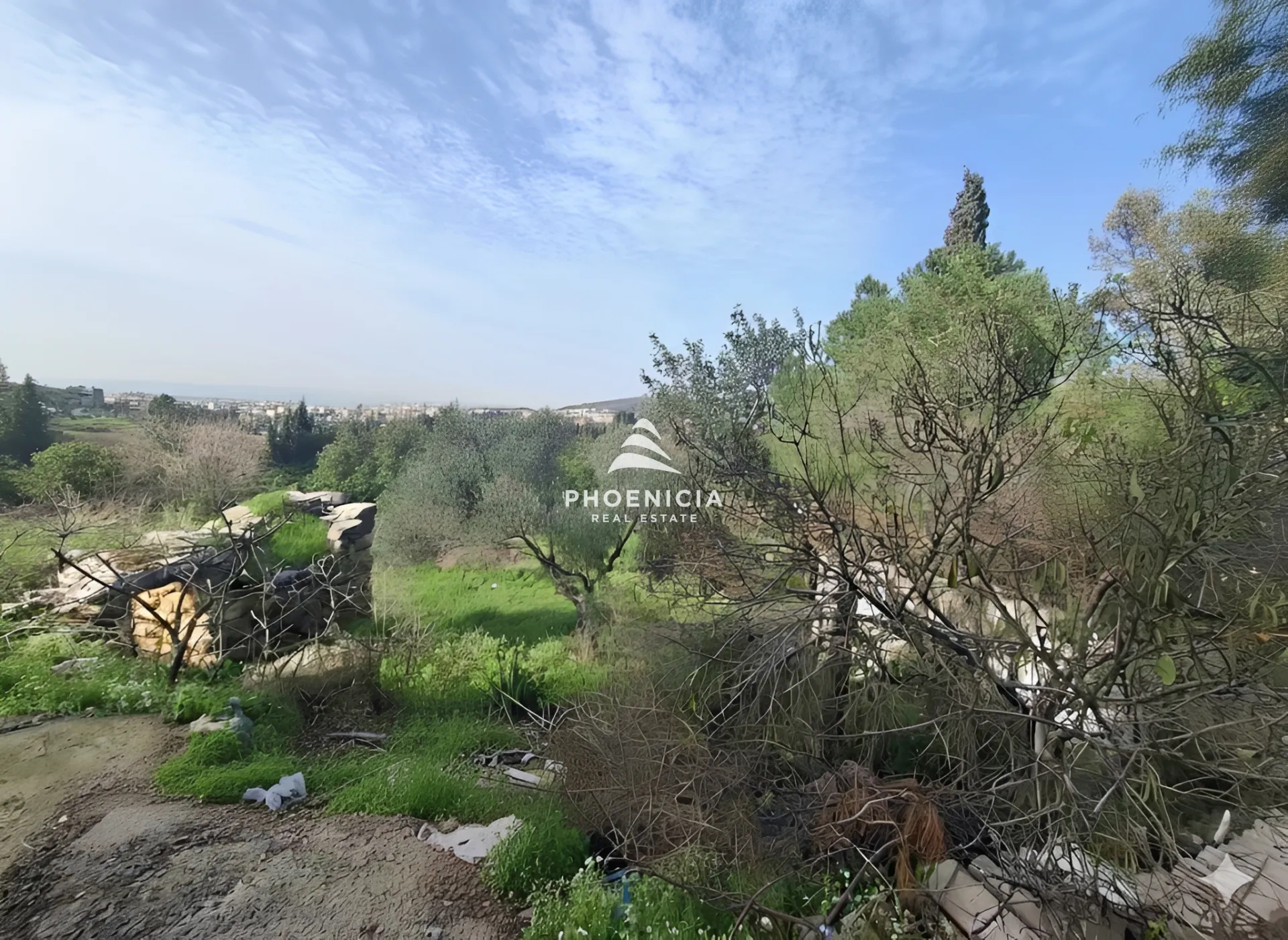 Land for Sale in Batroun