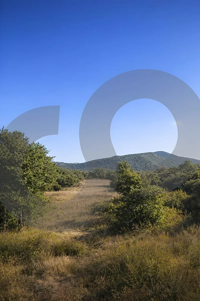 Land for Sale in Jezzine, Lebanon