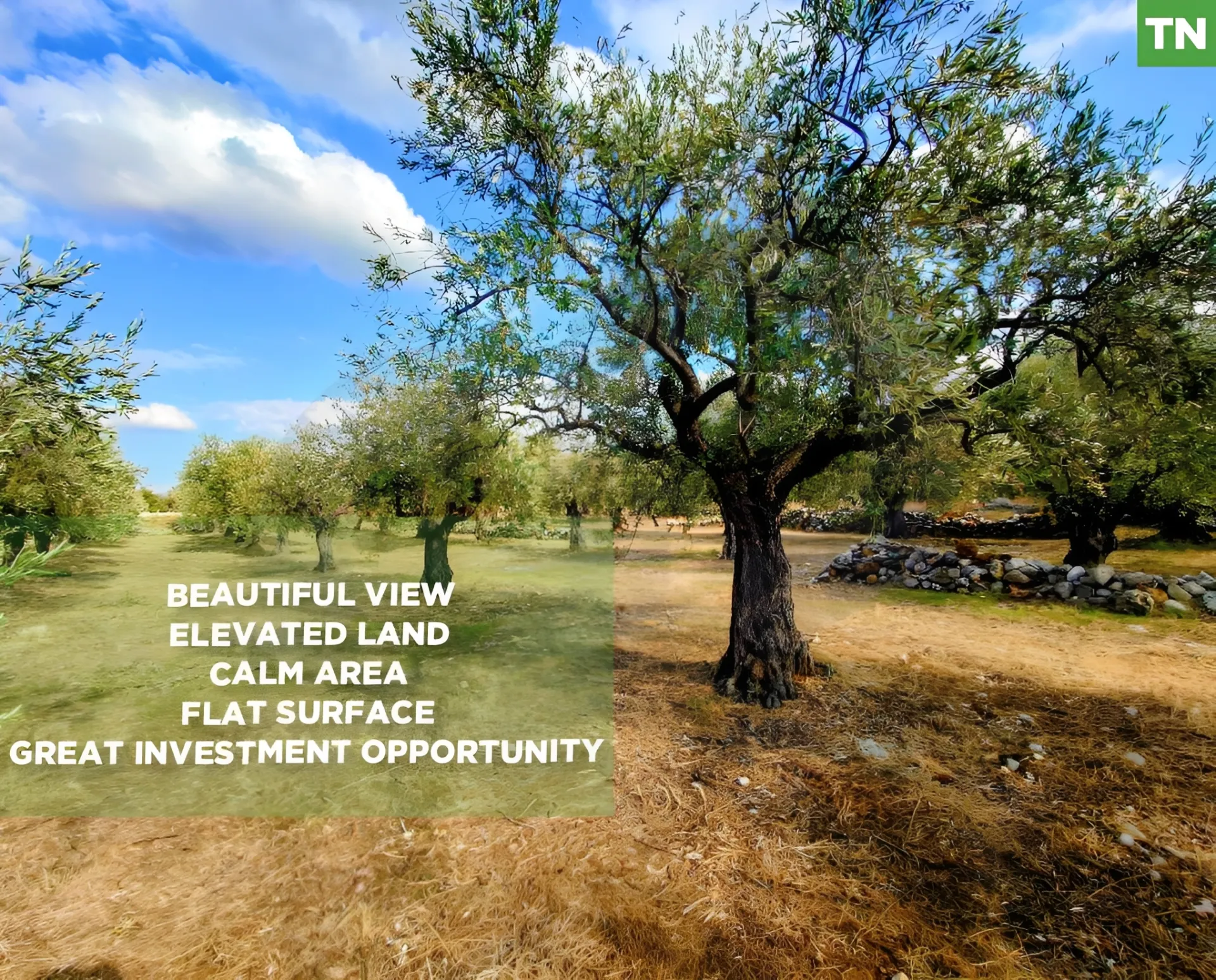 Land for Sale in Bnachii, Lebanon
