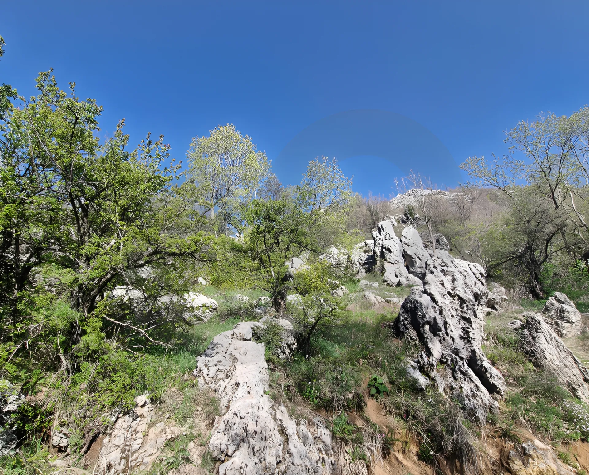 Land for Sale in Ehmej