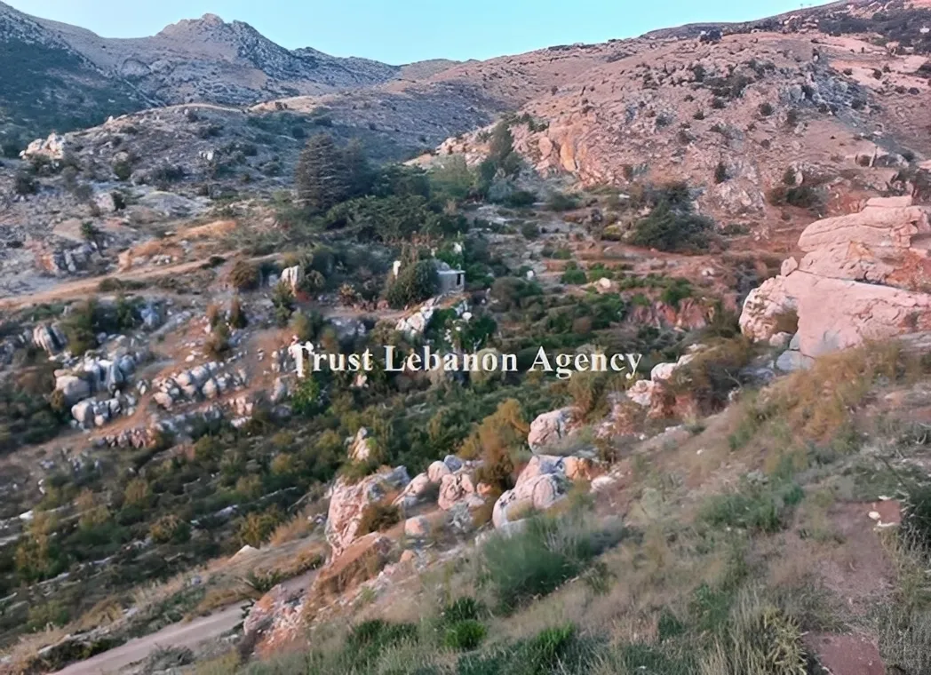 Land for Sale in Tannourine Batroun