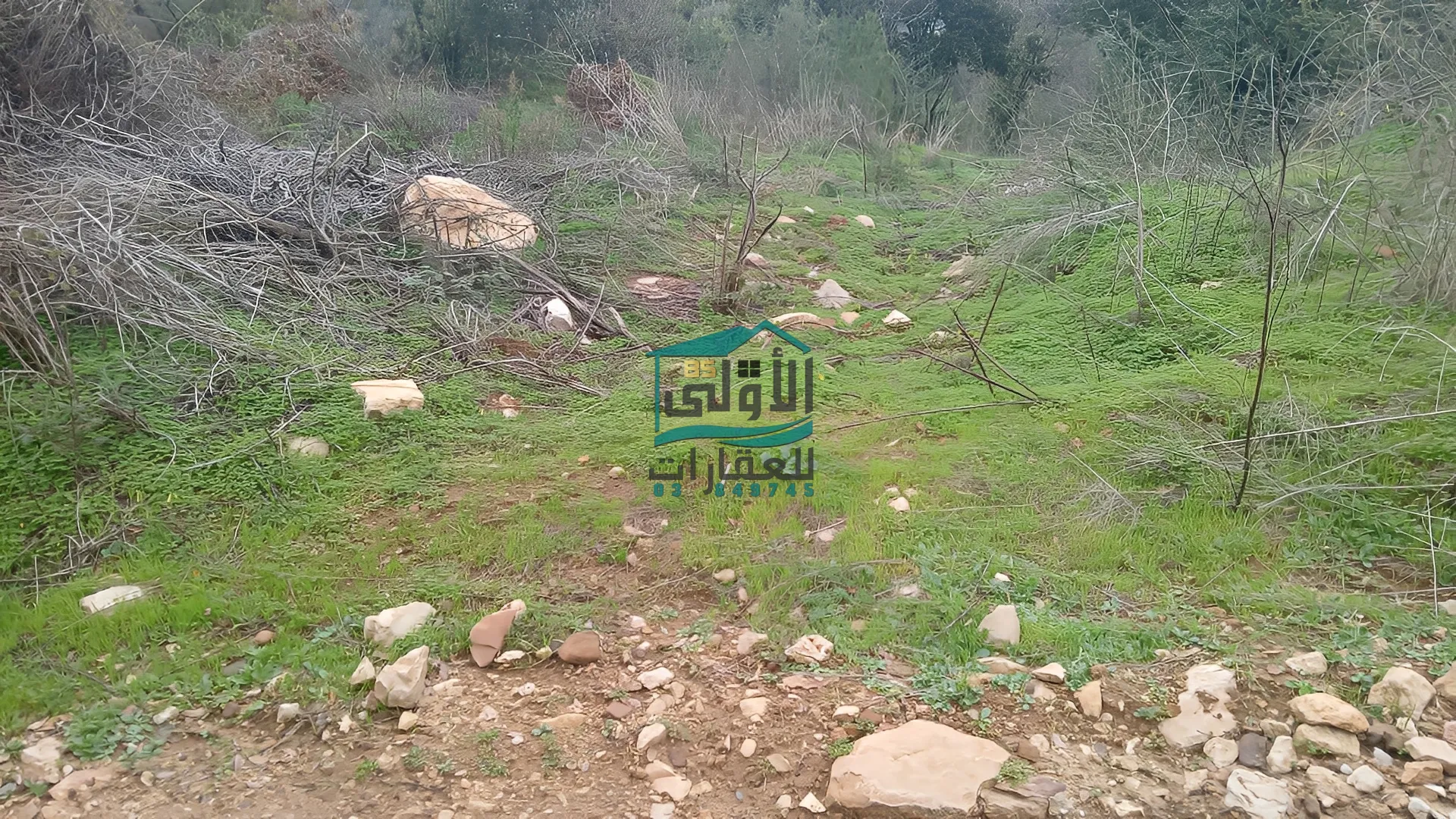 Land in Daqqoun, lebanon