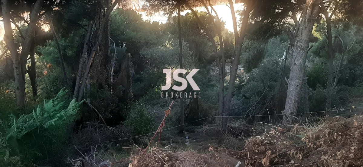 Land for Sale in Aaoukar, Lebanon