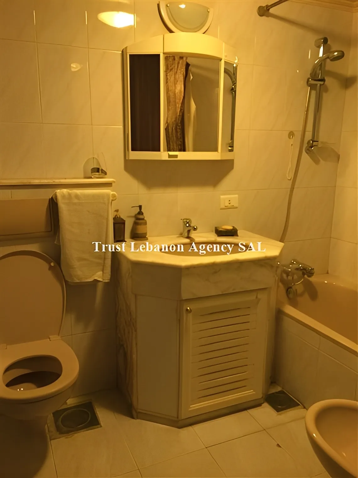 Apartment for Sale in Metn Beit Mery Lebanon