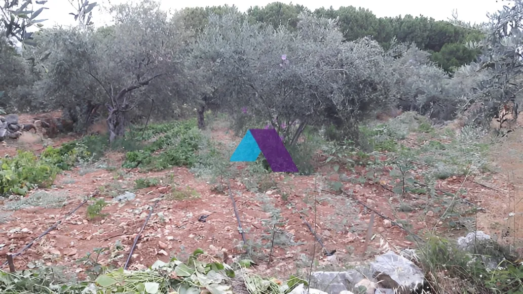 Land for Sale in Aamchit