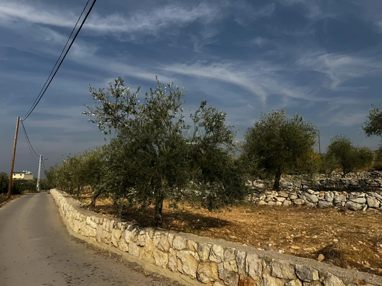Land for sale in Koura, lebanon