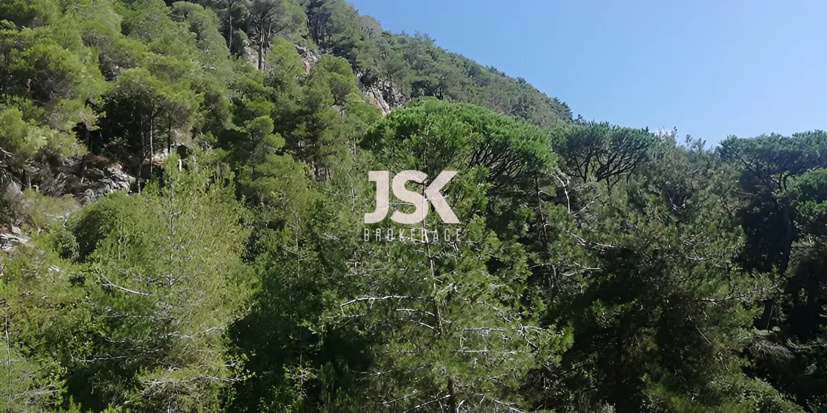 Land for Sale in Jouret El Ballout, Lebanon