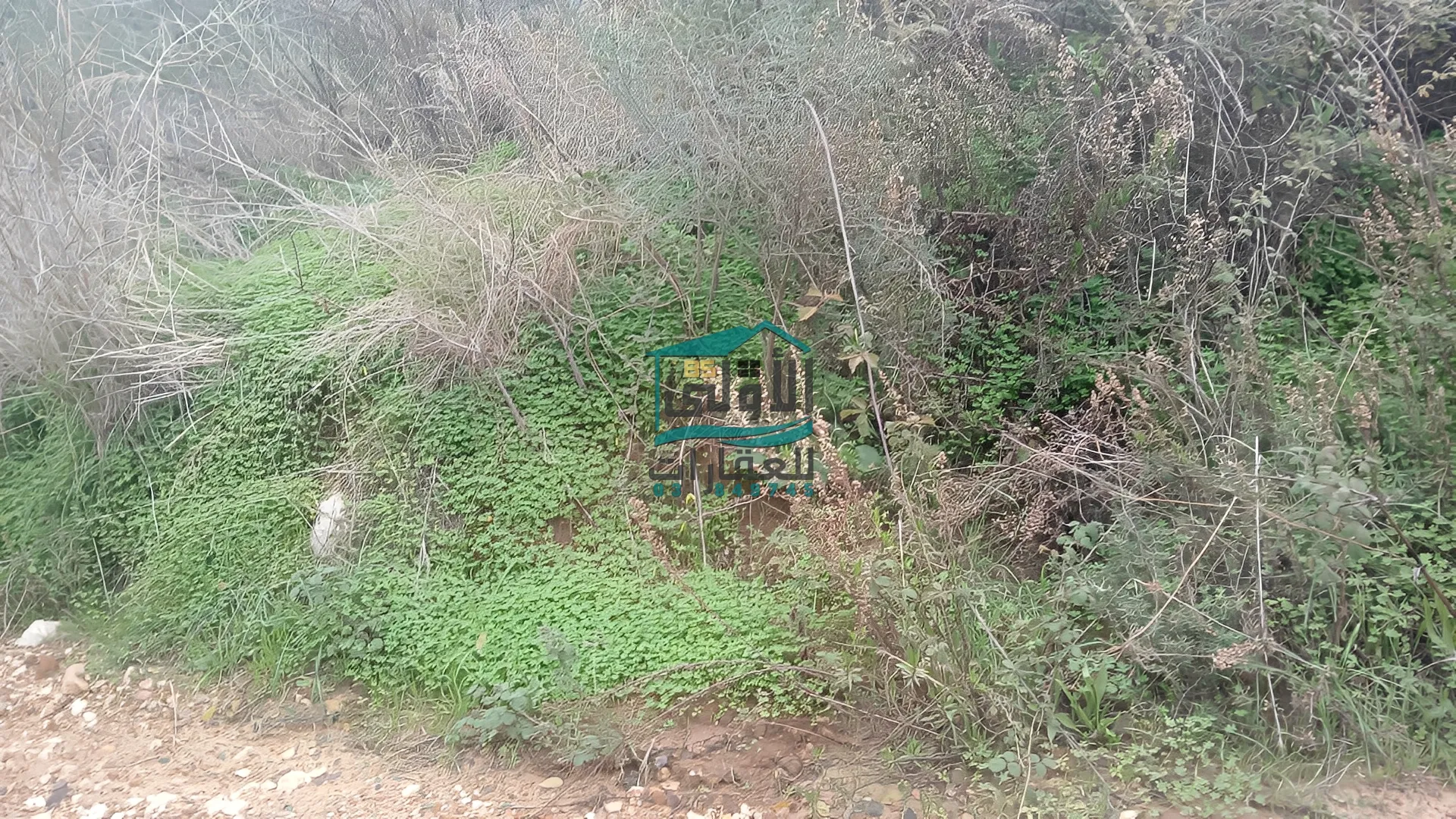Land in Daqqoun, lebanon