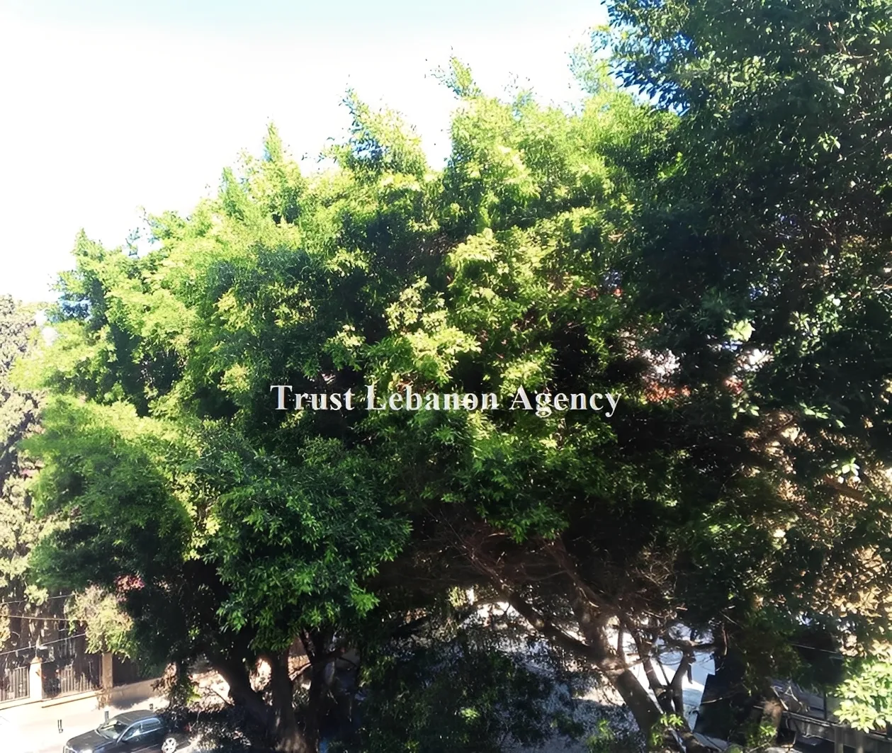 Office for rent in Hamra