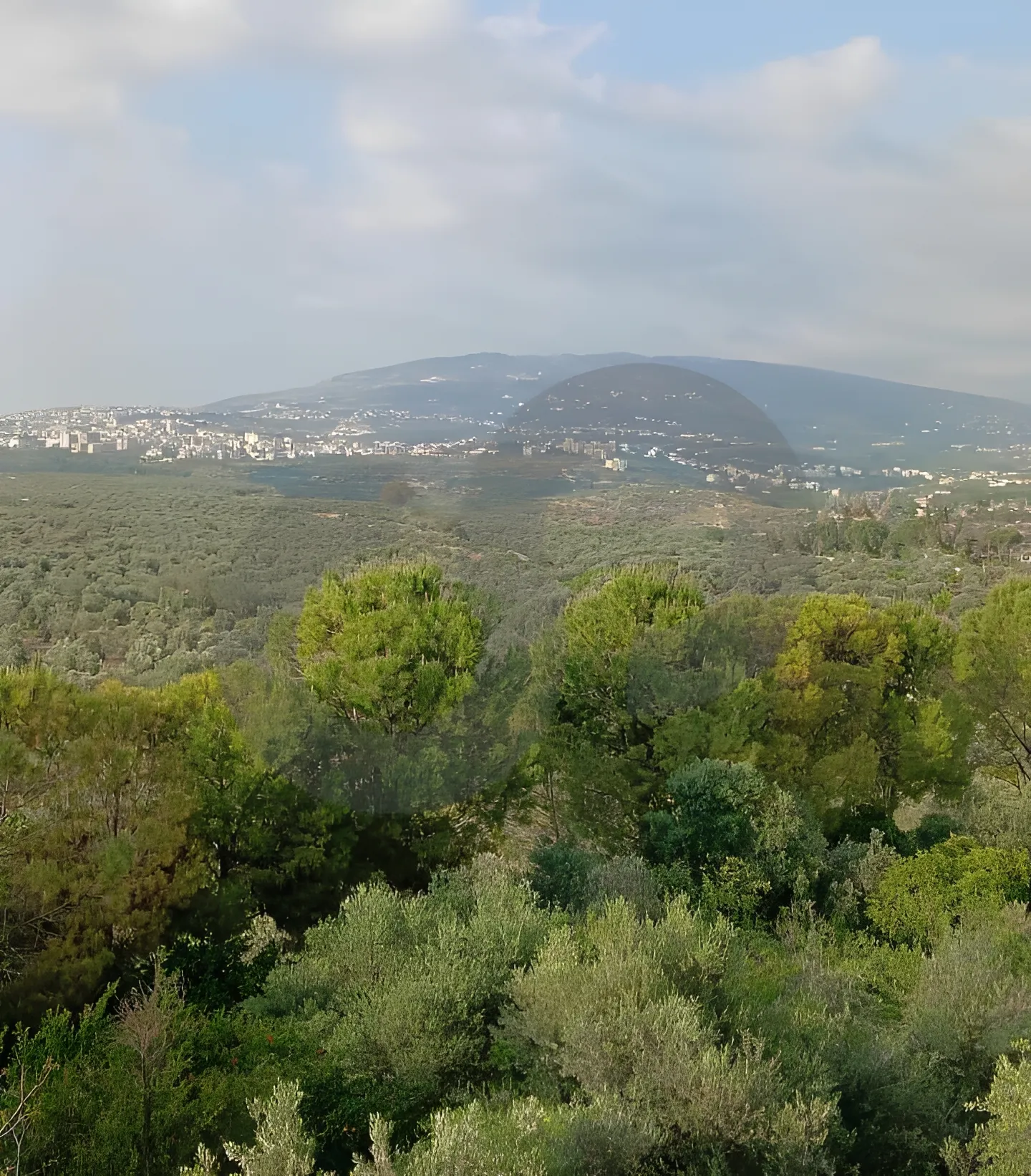 Building for Sale in Koura