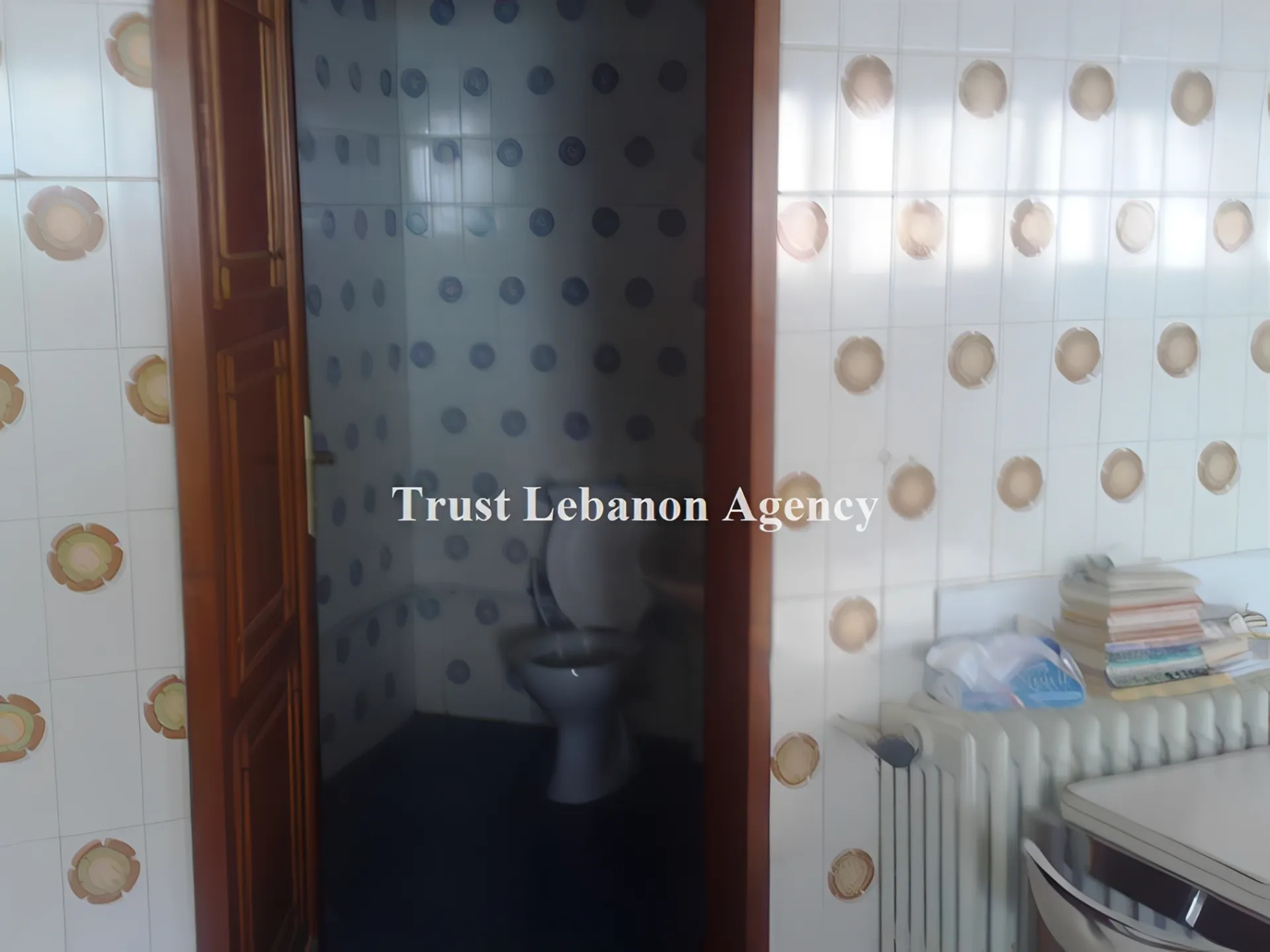 Villa for Sale in Metn Ain saade Lebanon