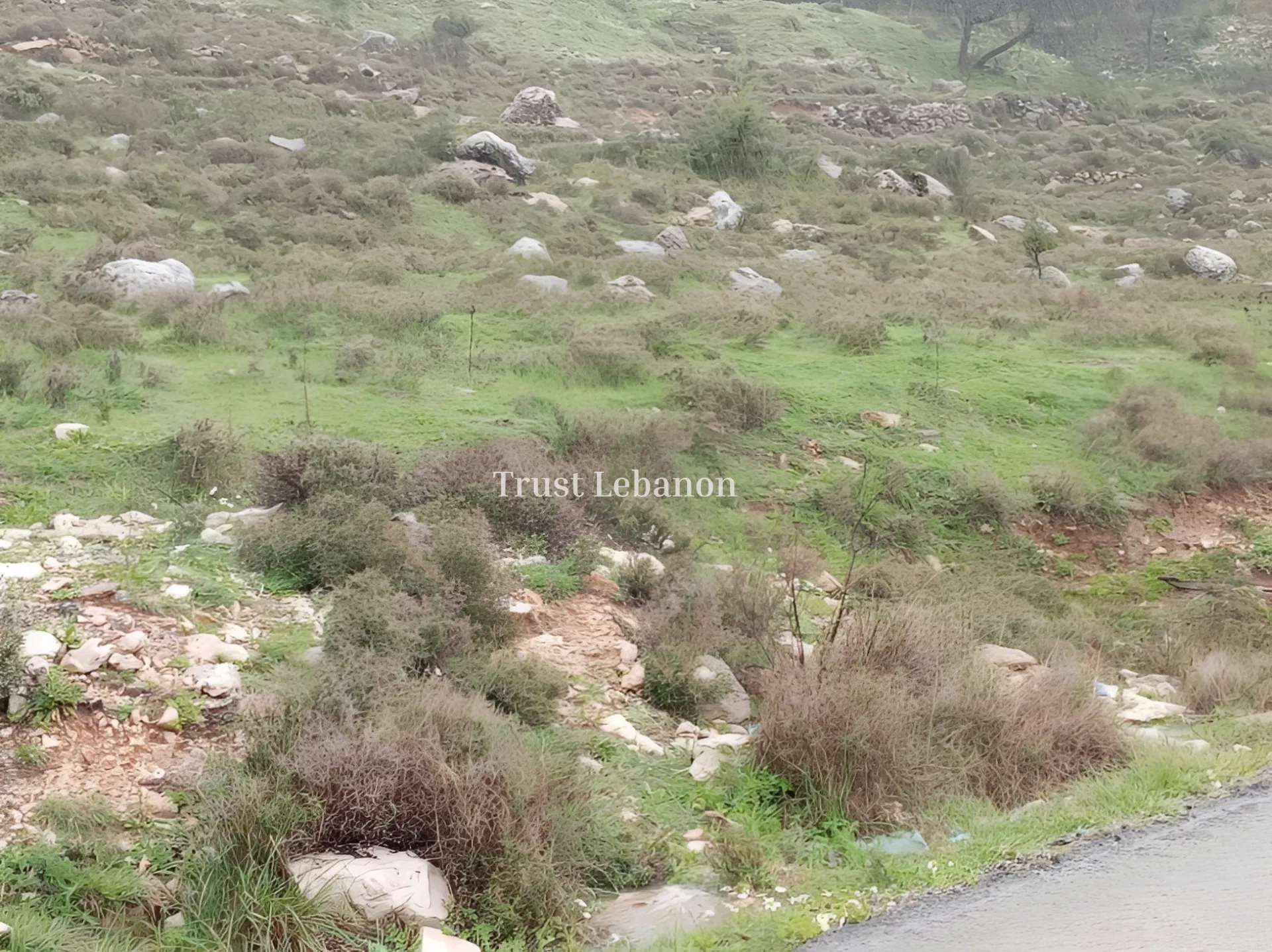 Residential Land for sale in Bharsaf, Lebanon