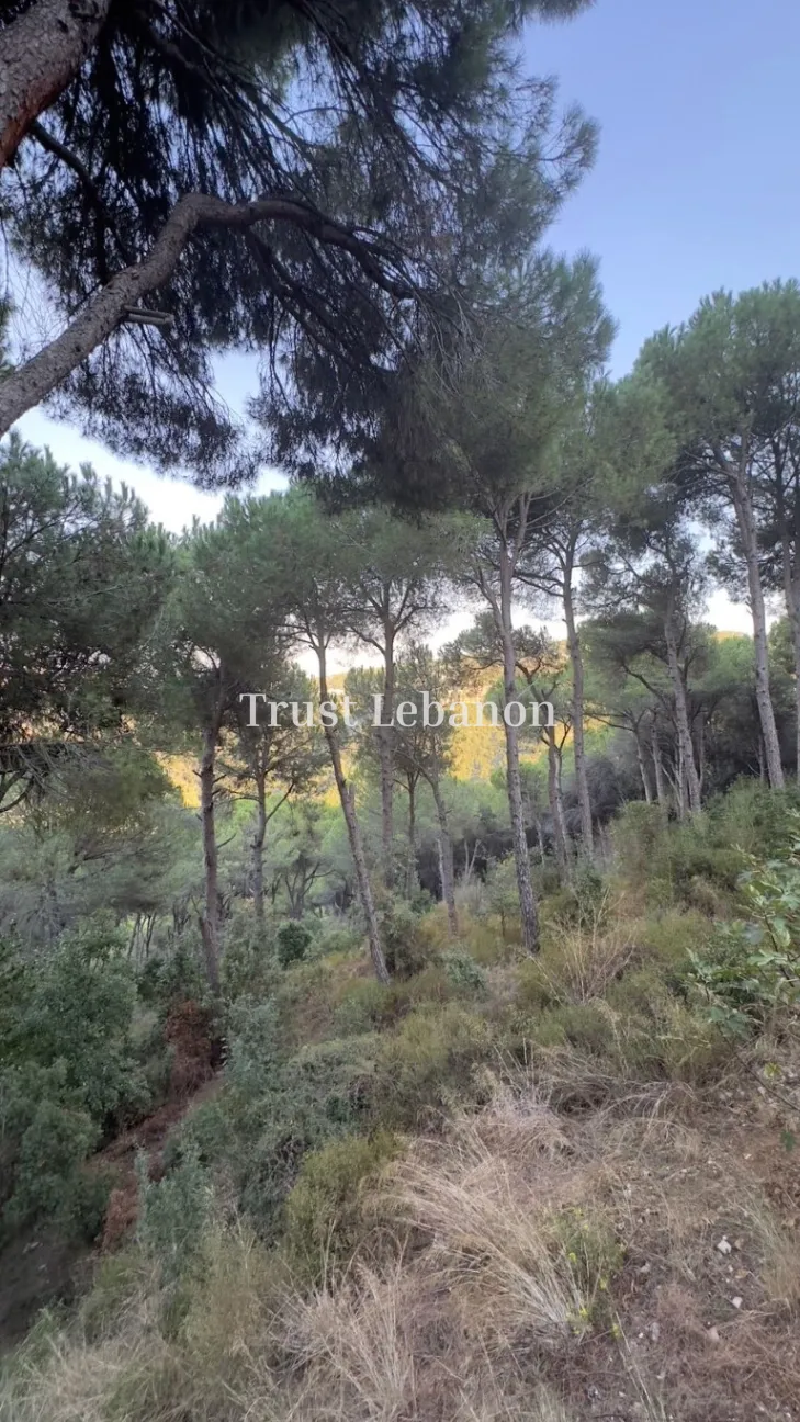 Villa for sale in Beit Meri, Lebanon - 3 bed, 3 bath
