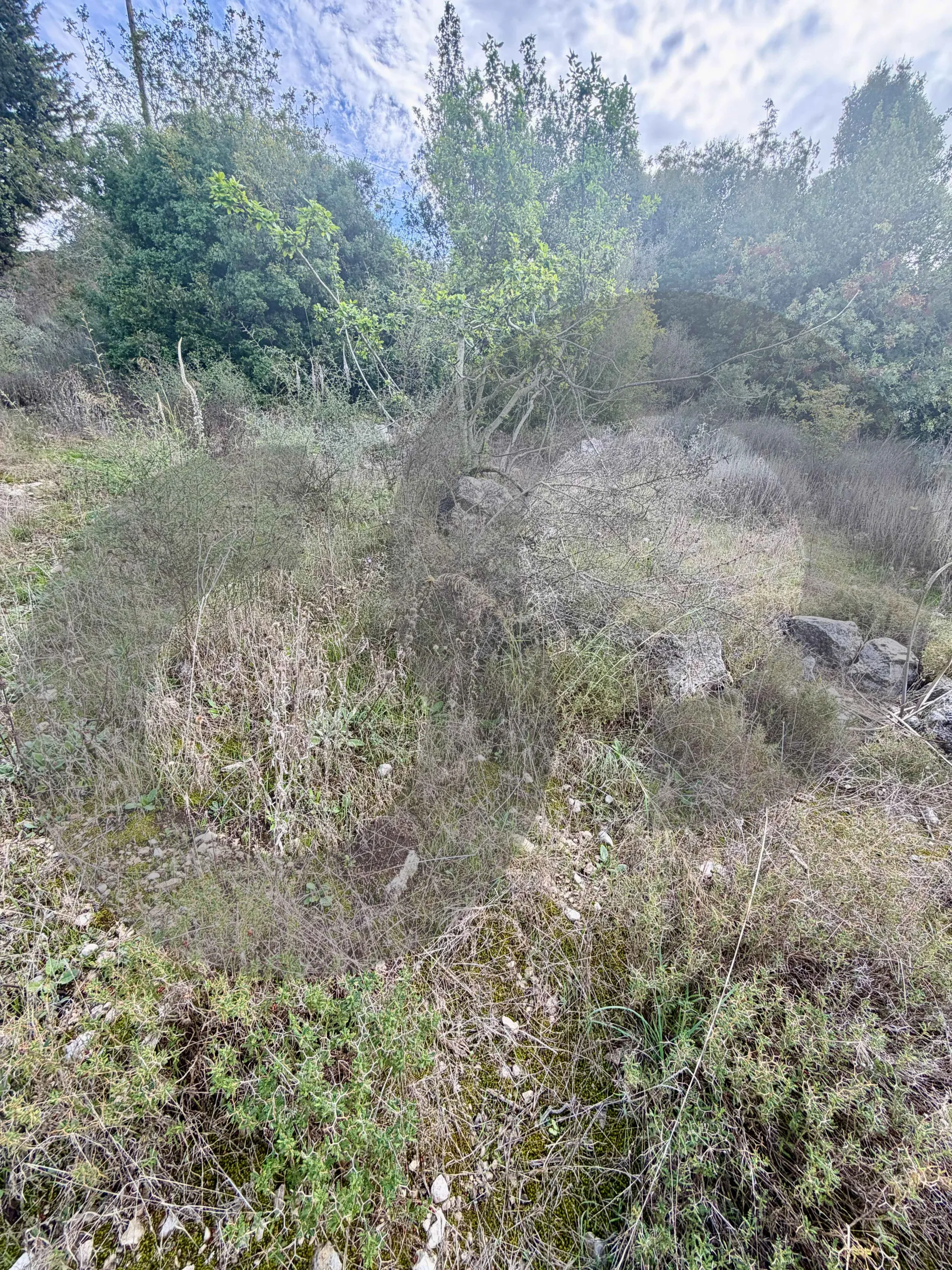 Land for Sale in Kfour