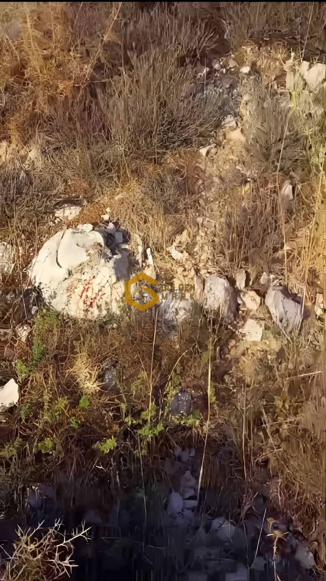 Land for Sale in Mechmech