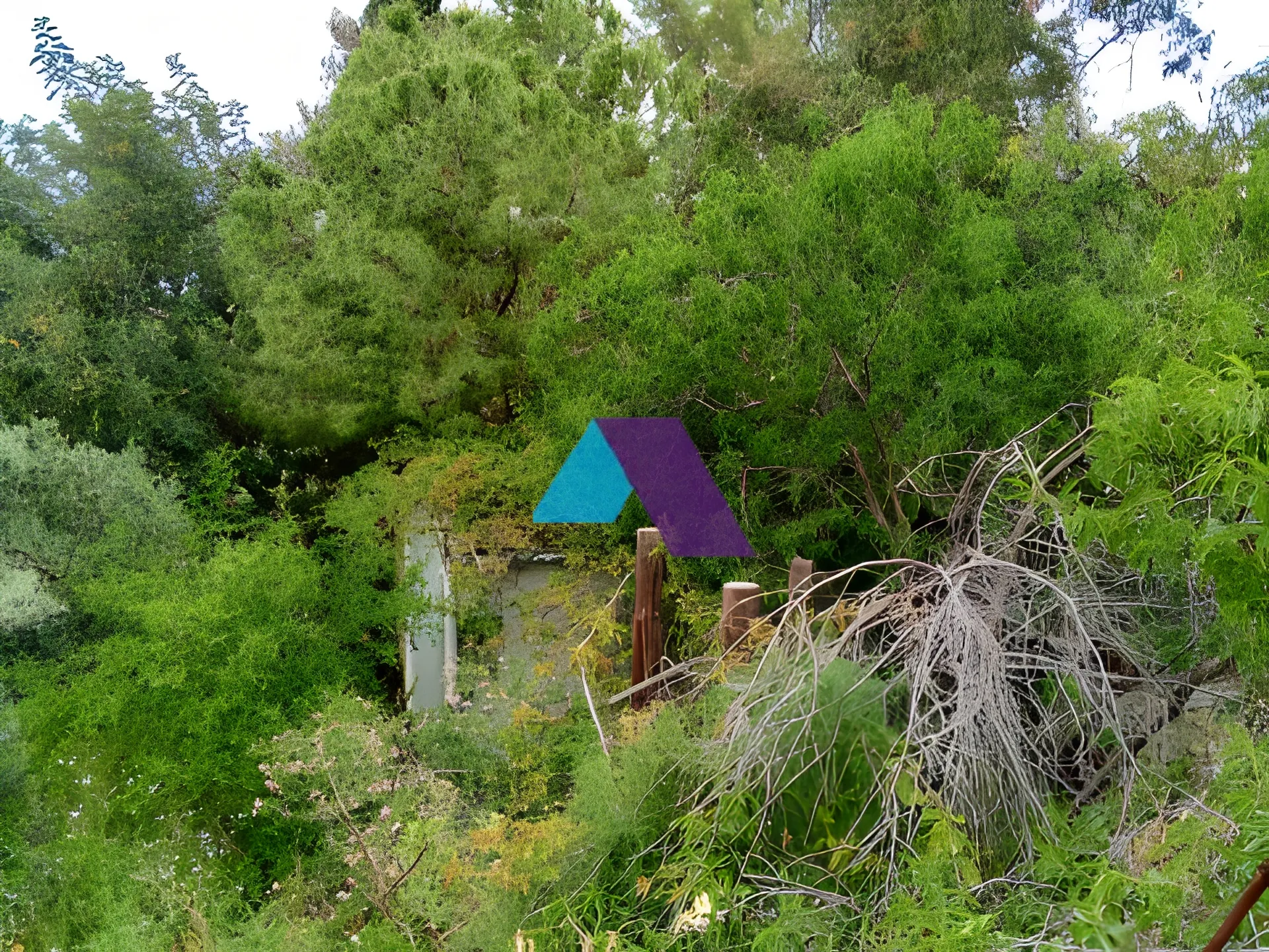 Land for Sale in Batroun