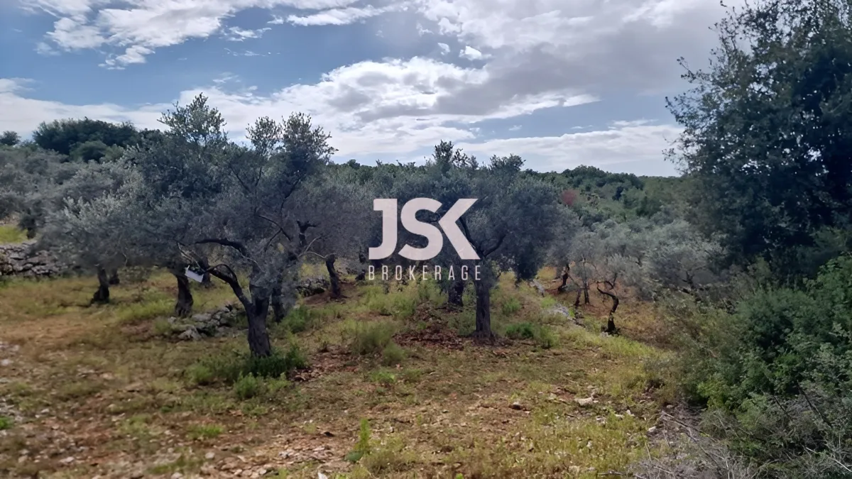 Land for Sale in Hamat, Lebanon