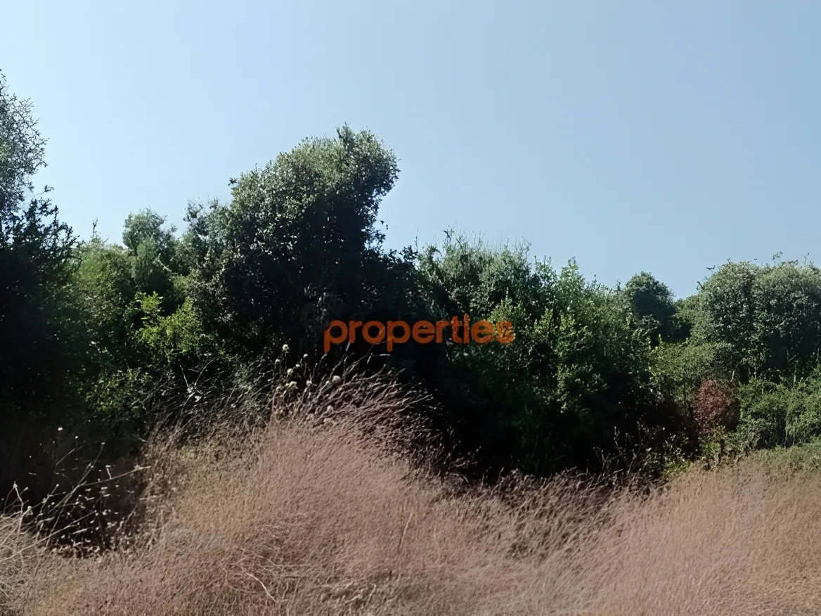 Residential Land for Sale in Edde