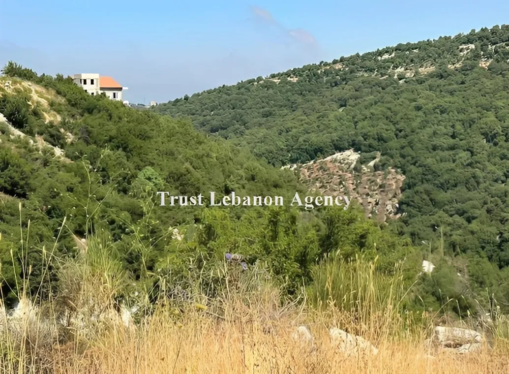 Land for Sale in Annaya Jbeil