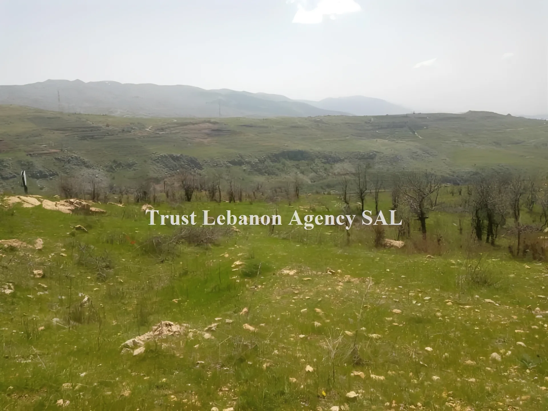 Land for Sale in Baabda Hammena Lebanon