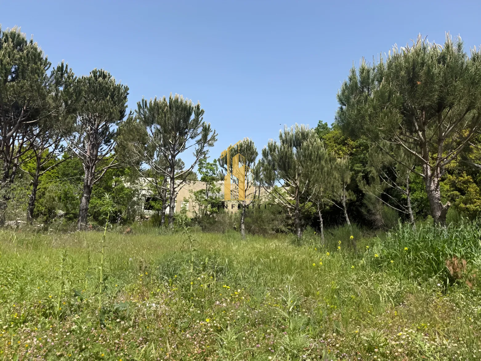 Residential Land for sale in Saoufar, Lebanon