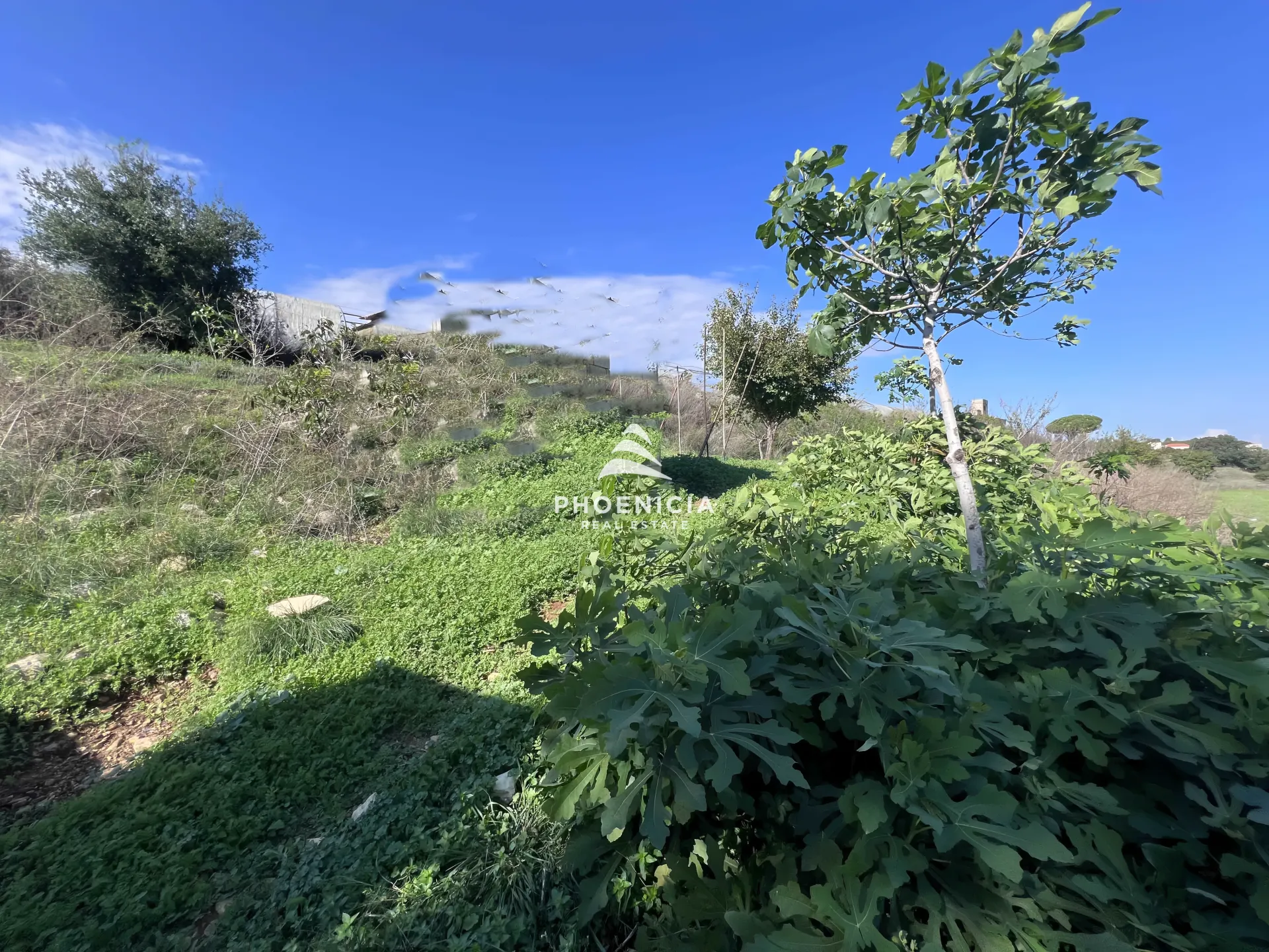 Land for Sale in Maad