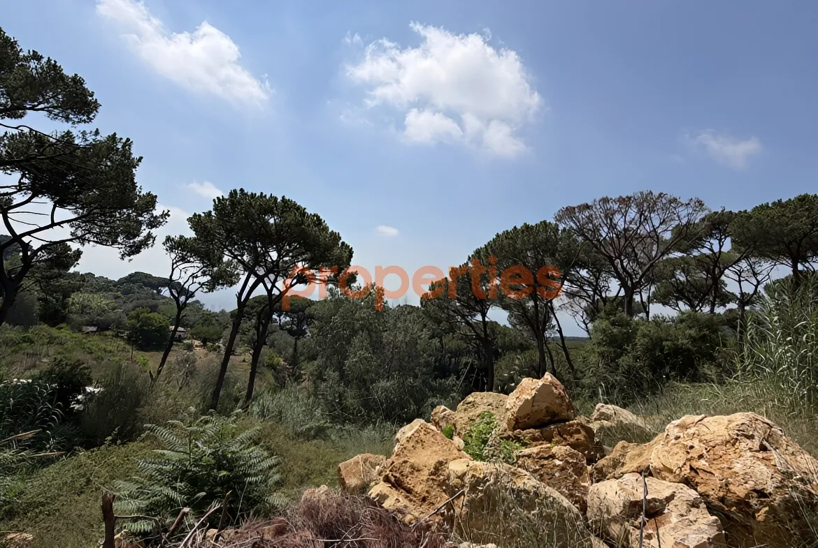 Residential Land for Sale in Ain Saadeh
