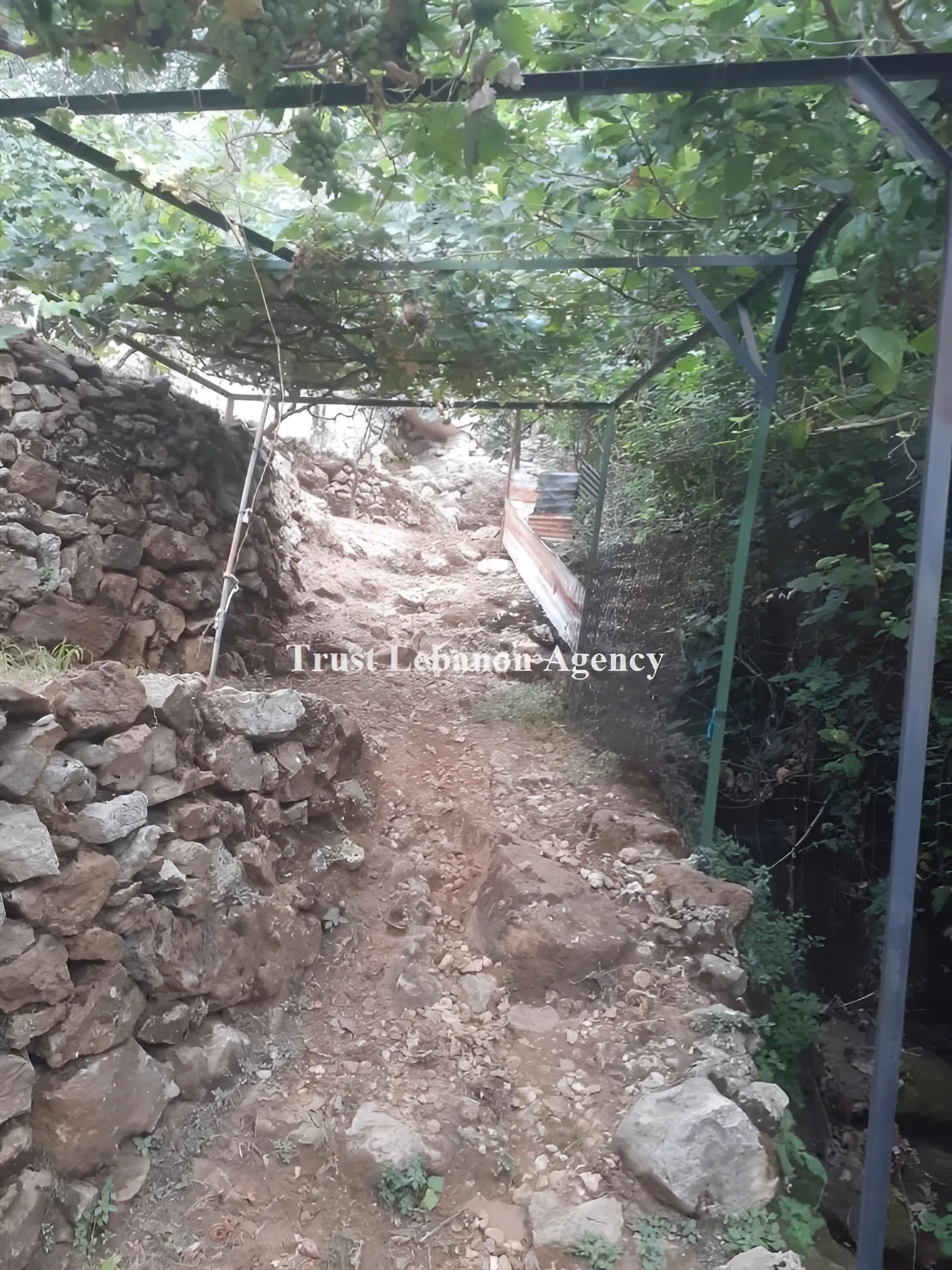 Land for Sale in Jezzine