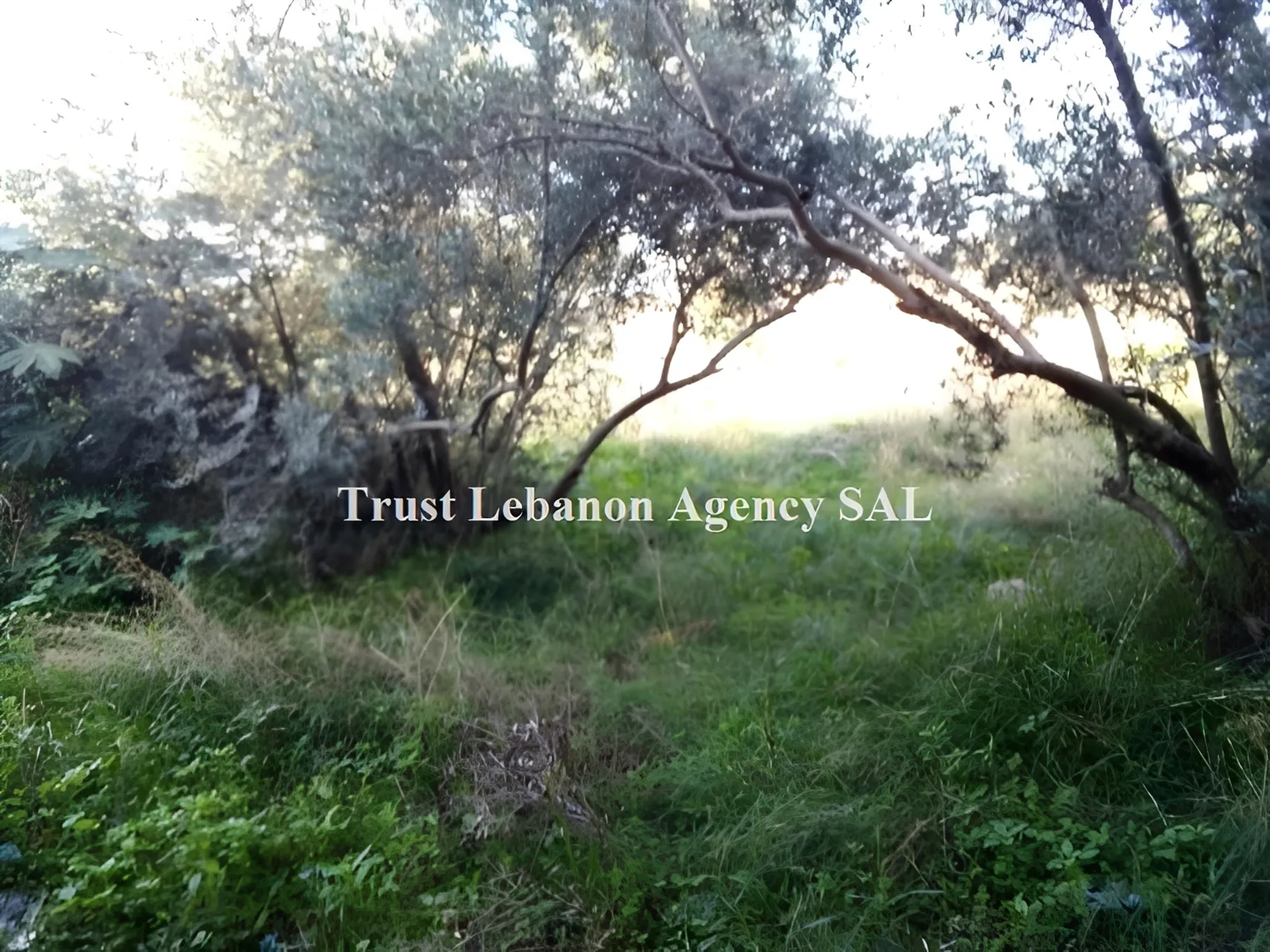 Land for Sale in Baabda Kfarchima Lebanon