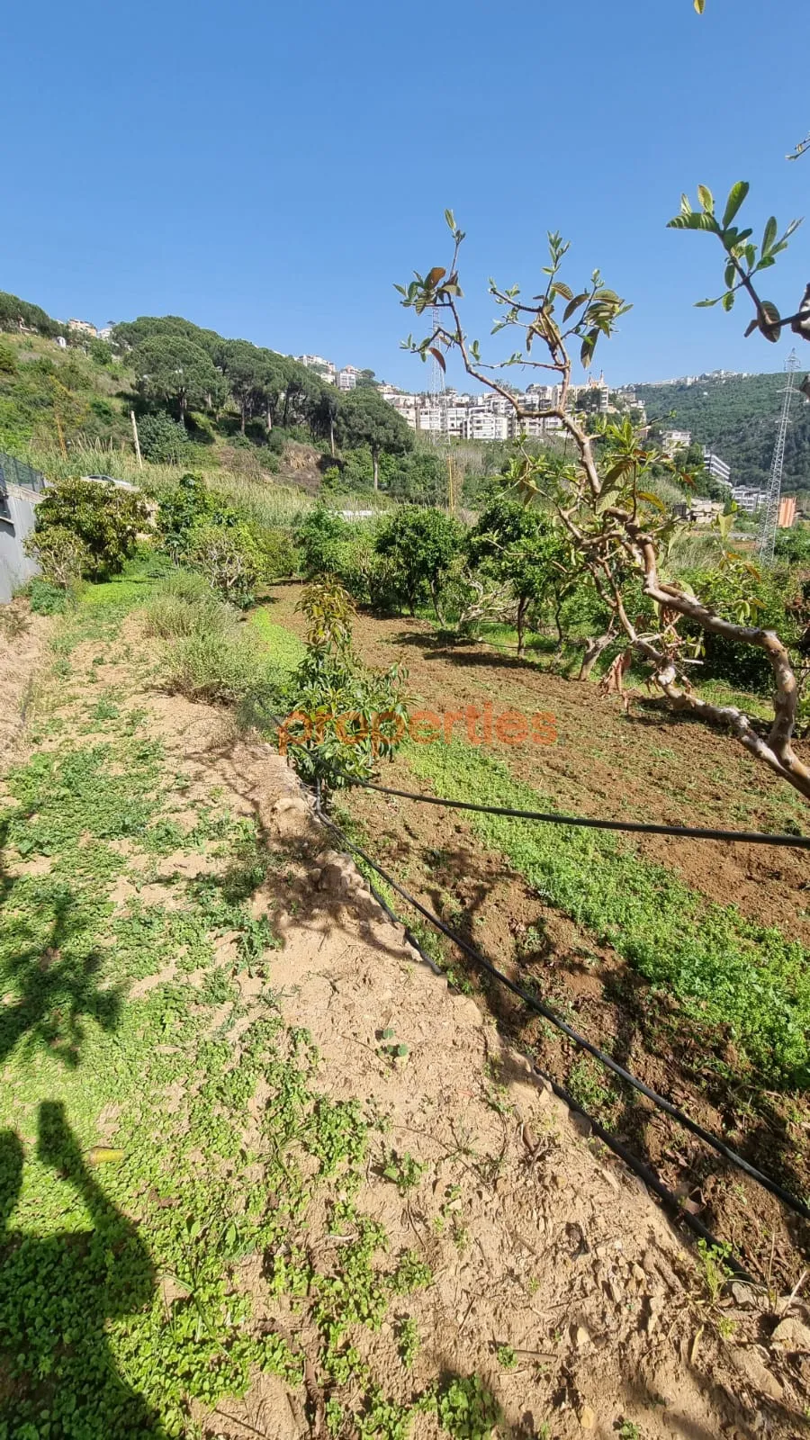 Residential Land for Rent in Kahaleh