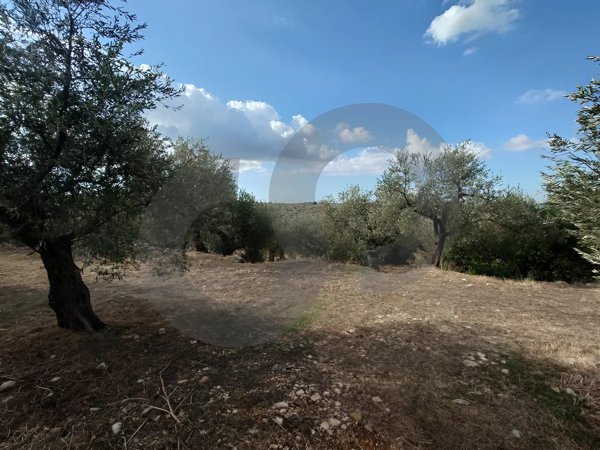 Land for Sale in Bnachii, Lebanon