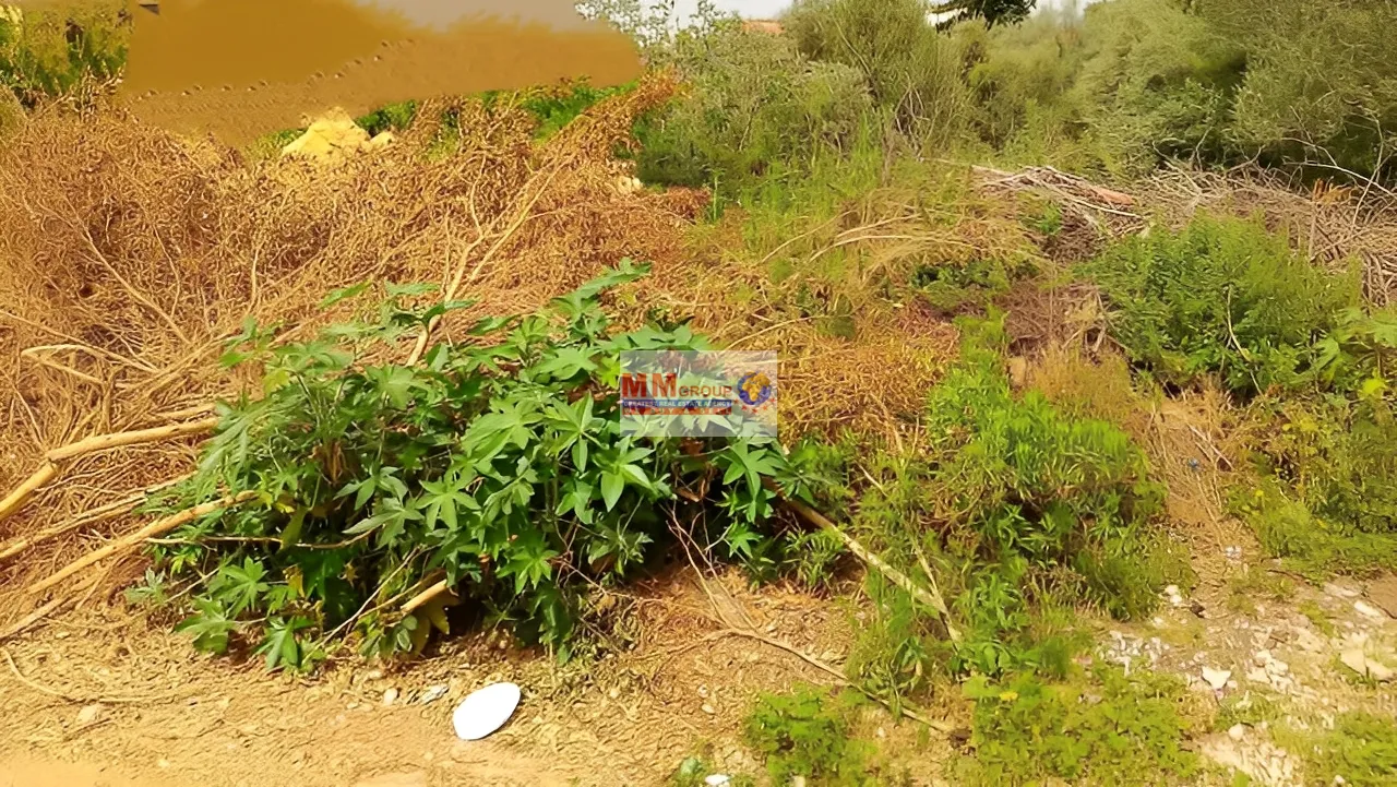 Land for Sale in Mansourieh Lebanon