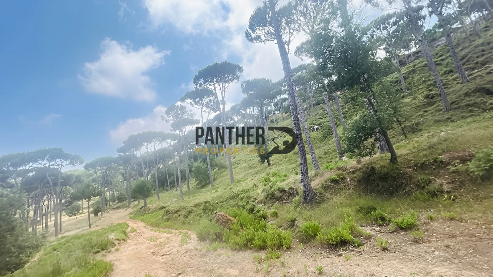 Land for sale in Salima, lebanon