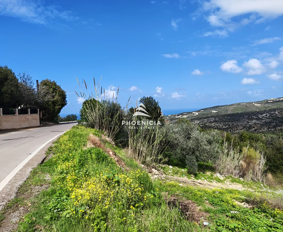 Land for Sale in Chikhane