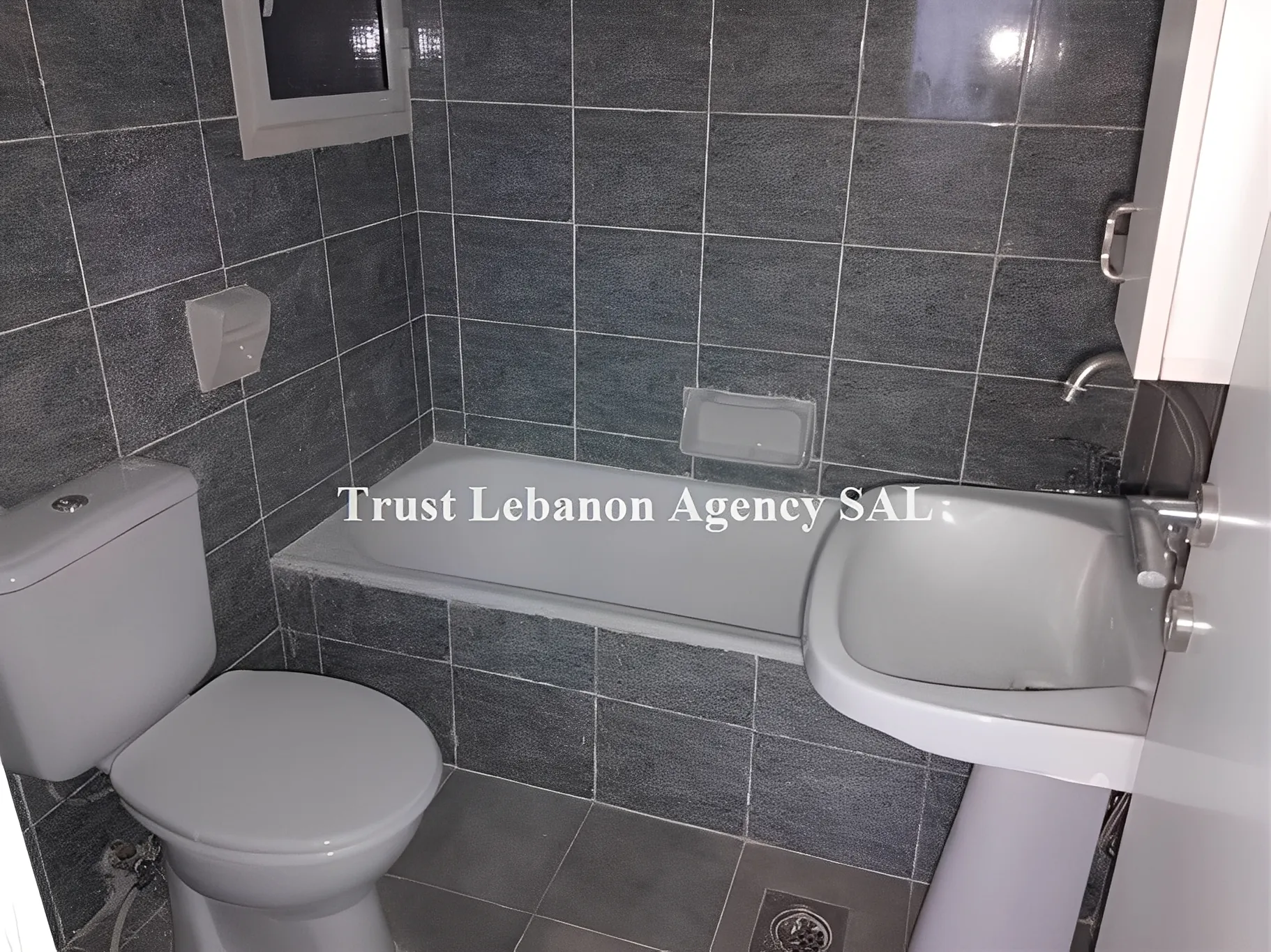 Apartment for Rent in Ashrafieh, Beirut, Lebanon