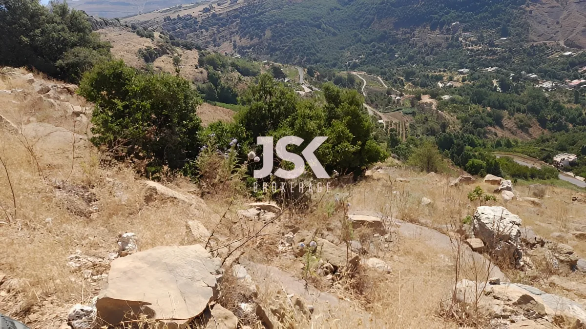 Land for Sale in Qartaba, Lebanon