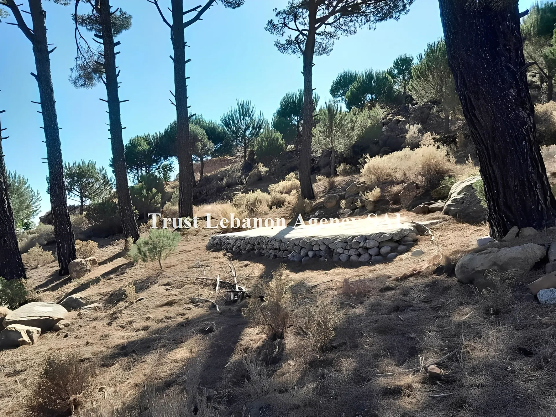 Land for Sale in Hasbaya, Al kfeir
