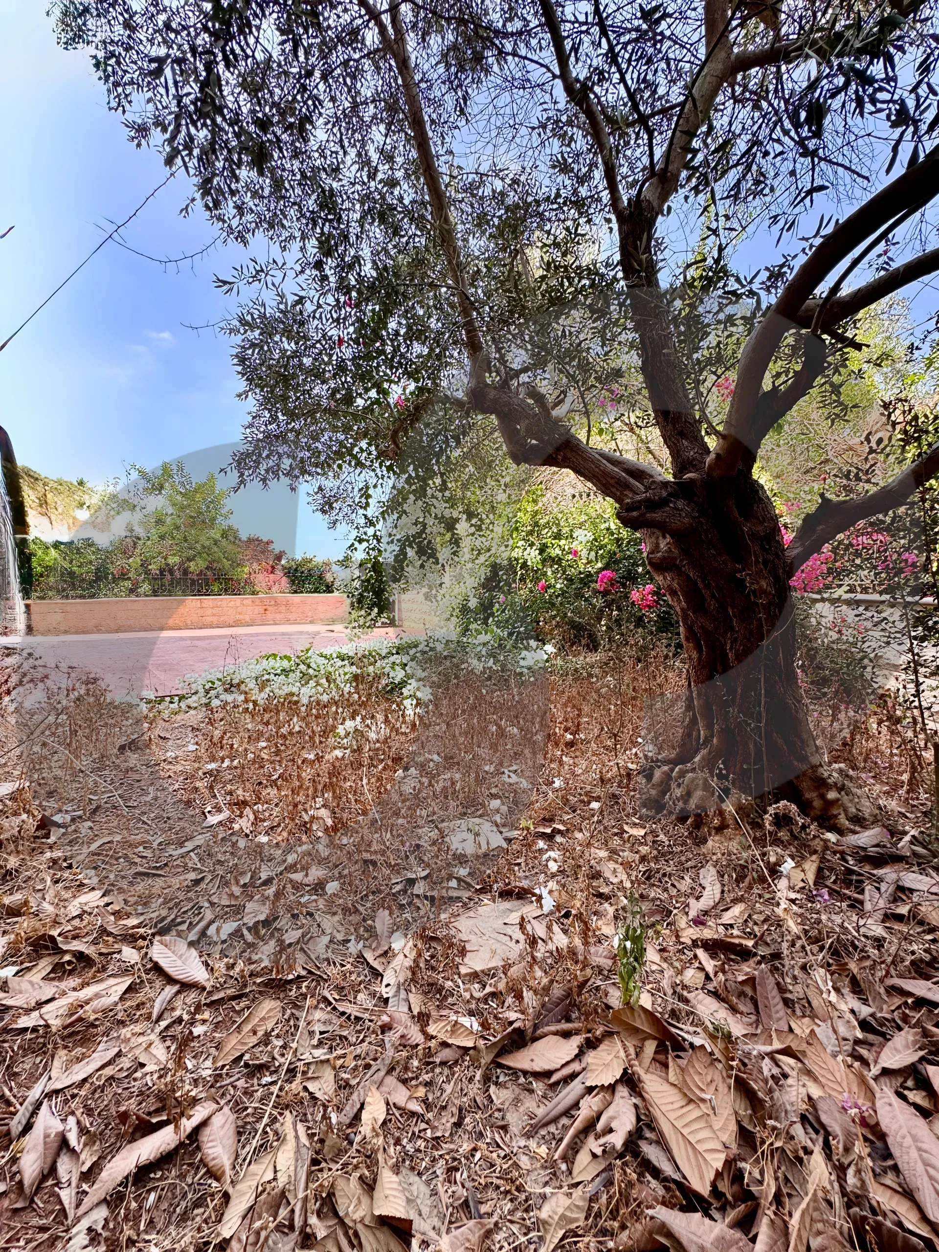 Apartment for Sale in Kfar Yassine